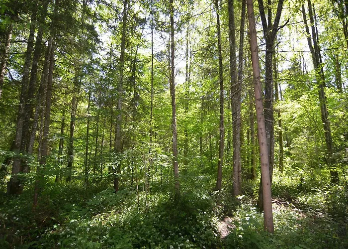 Daire Uriger Komfort, Alpenparadies Schönau am Königssee